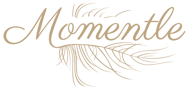 Momentle – Raummietung Logo